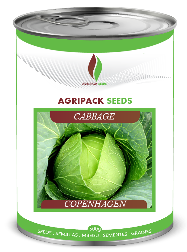 CABBAGE COPENHAGEN
