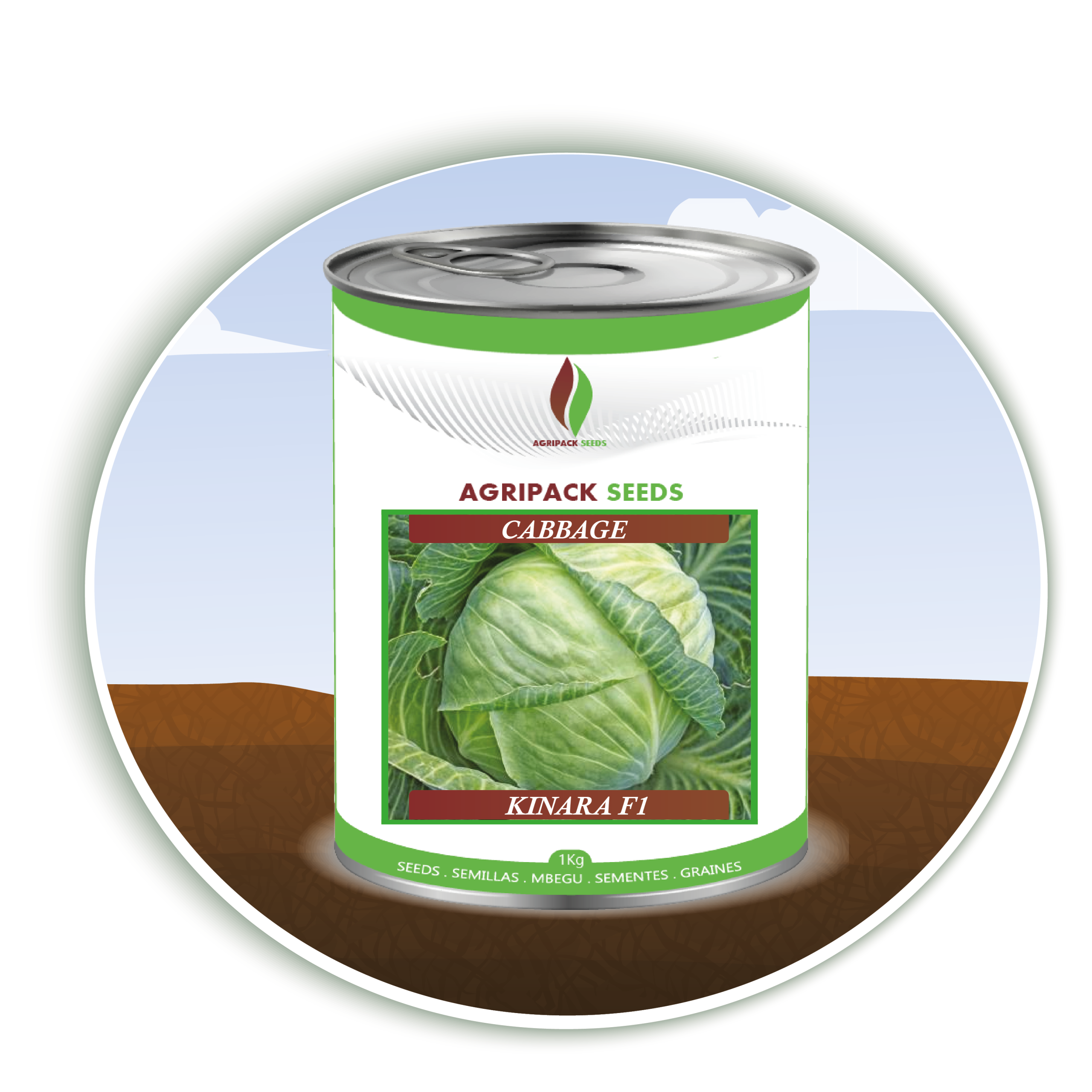 CABBAGE KINARA F1