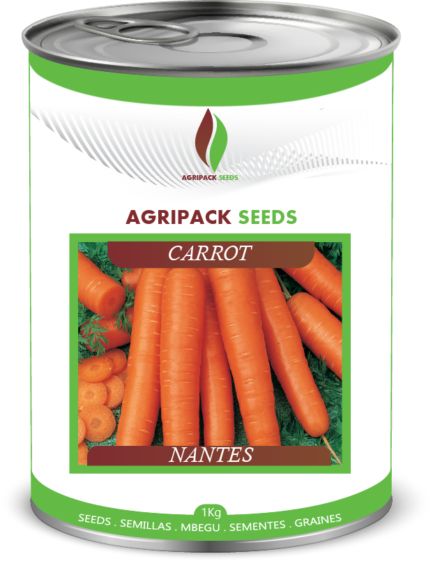 CARROT NANTES