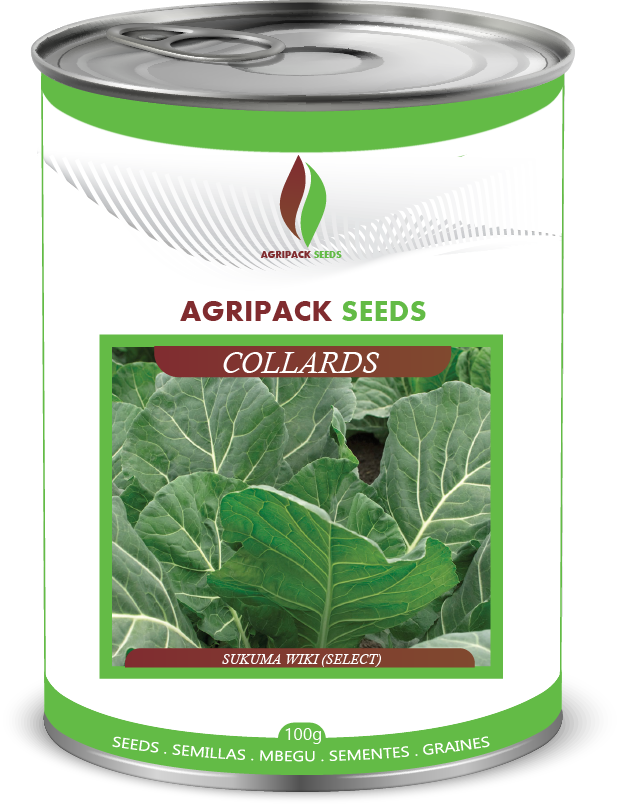 COLLARDS SUKUMA WIKI