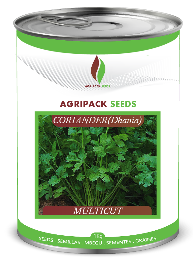 CORIANDER (DHANIA) MULTICUT