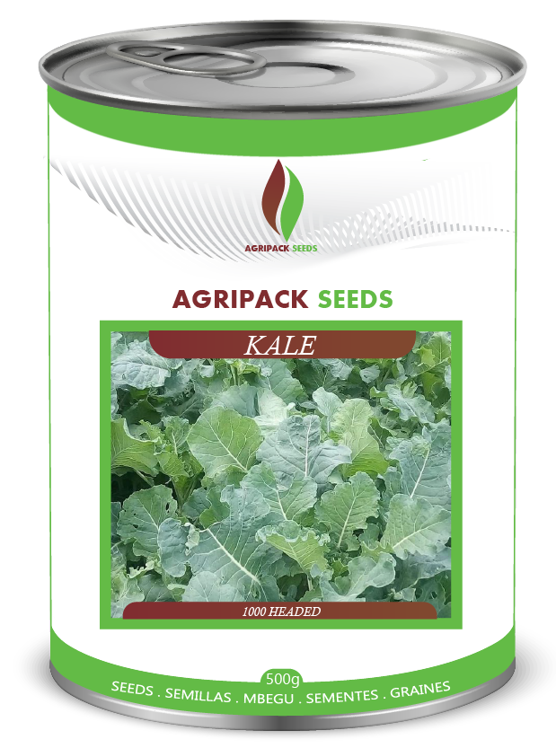 KALE 1000 HEADED