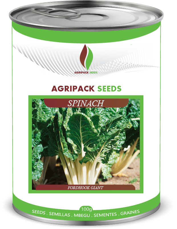 SPINACH FORDHOOK GIANT