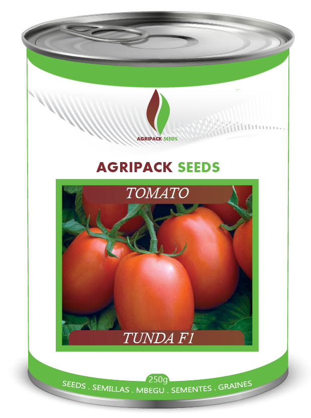 TOMATO TUNDA F1